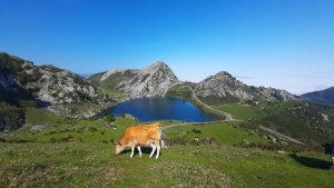 Lago Enol