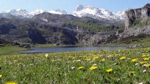Lago Ercina en primavera