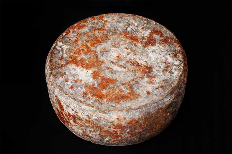 El queso Gamonéu: un viaje culinario por los Picos de Europa
