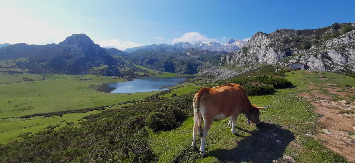 Lago Ercina desde Entrelagos